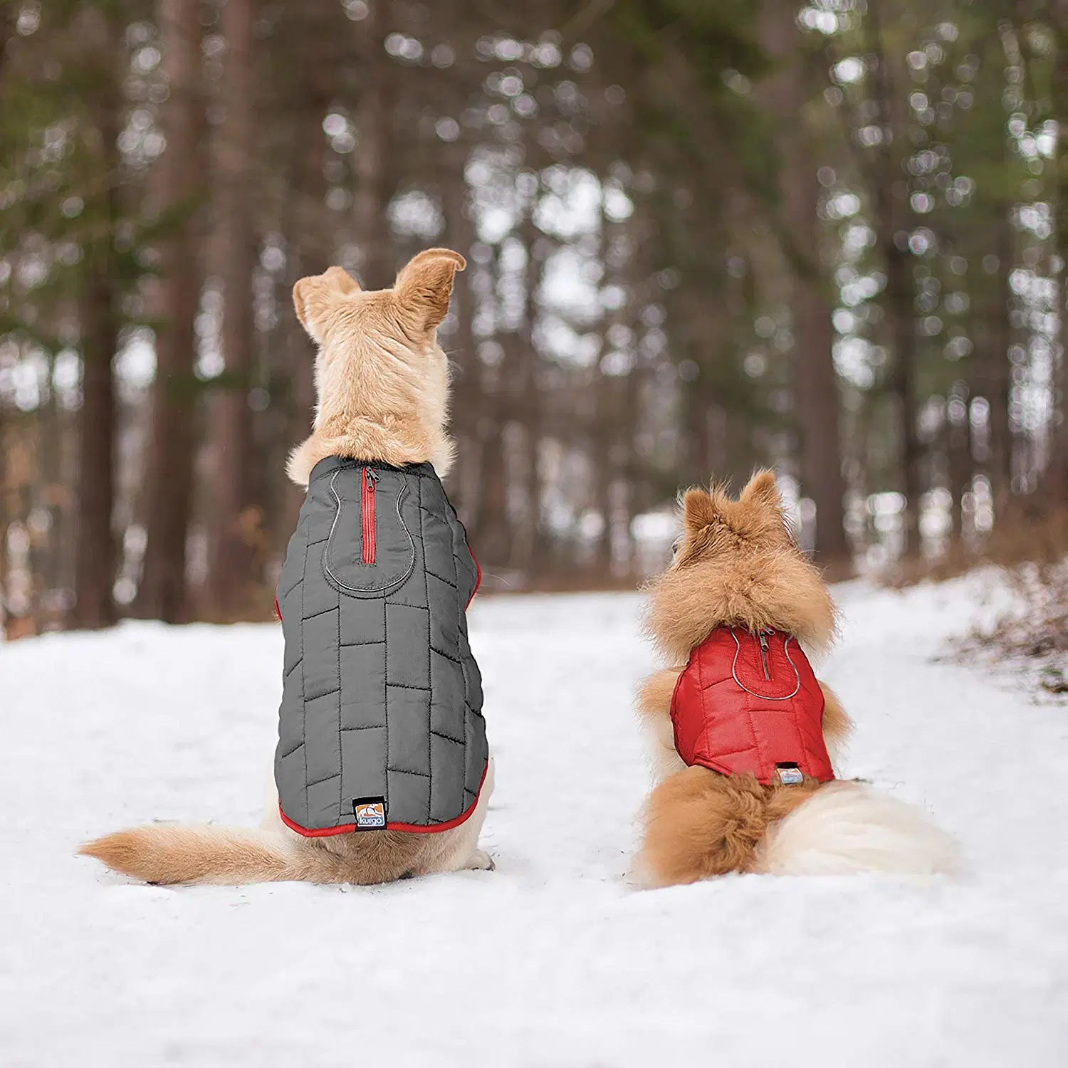 Loft Dog Jacket Waterproof Warm Winter Dog Coat Adjustable Dog Raincoat