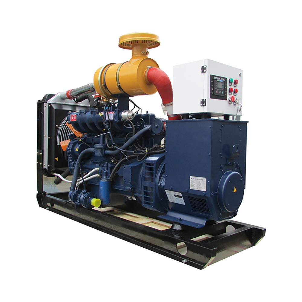 Open Type 50kw Natural Gas Generator High Performance for Plant