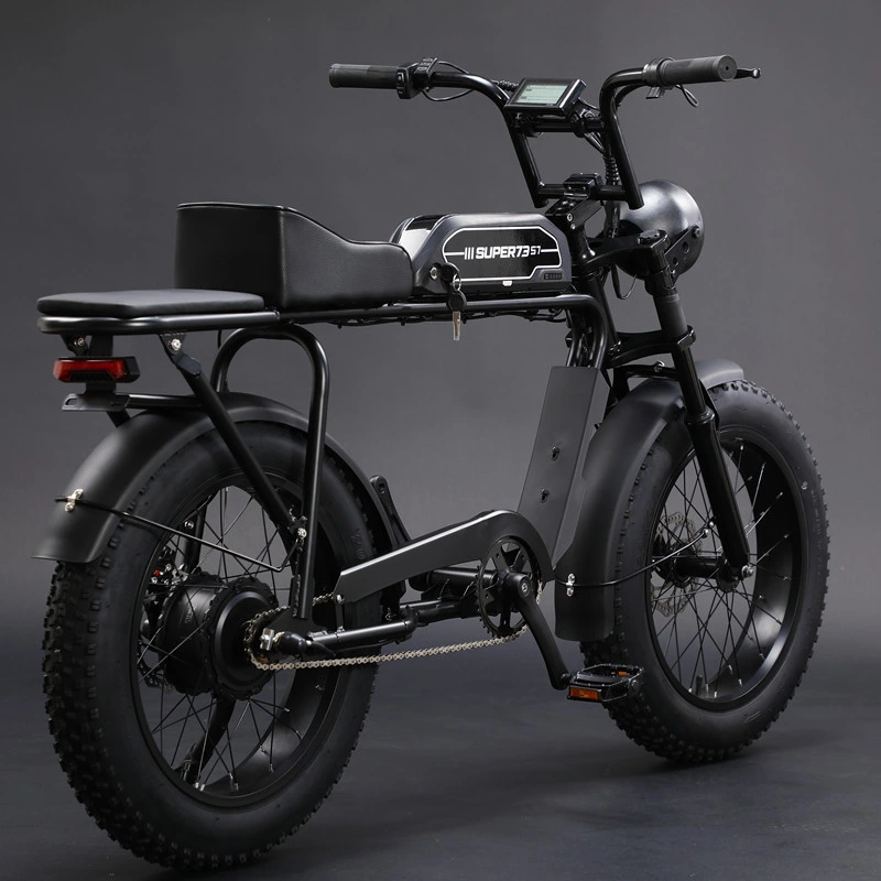 Electric Bike 2 Wheels Fat Tire Snowmobile E-Scooter Bicycle ATV