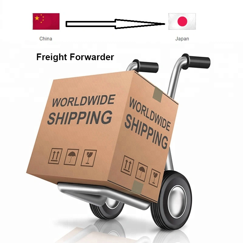 International Logistics Air Cargo Door to Door Amazon Fba Delivery to USA/UK Shipping Agent in Guangzhou China