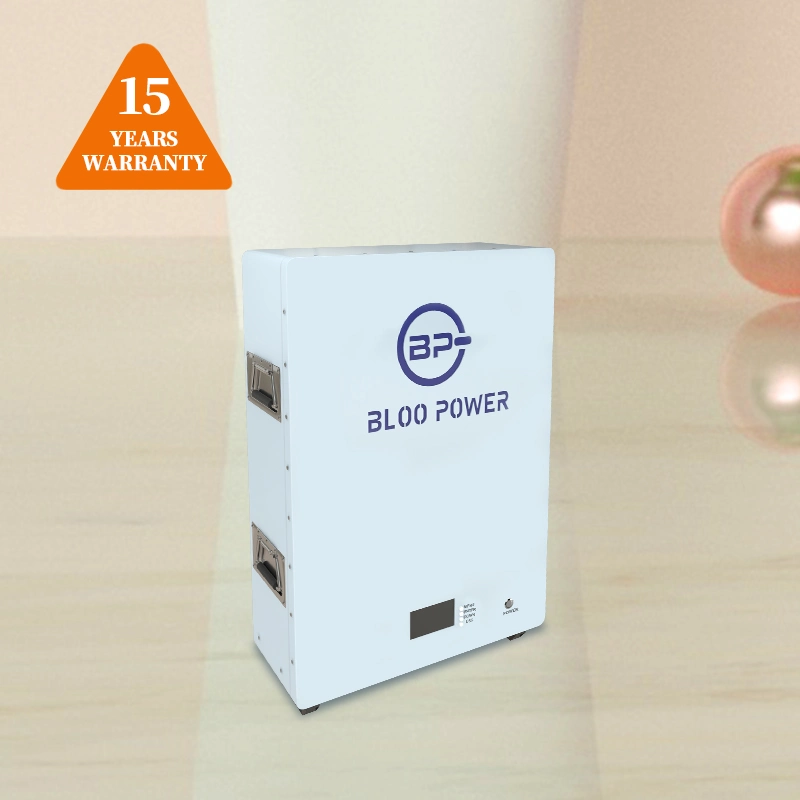 Bloo Power 400Ah 500Ah LiFePO4 Cargador Solar de litio de 15kwh pack de batería Powerwall Banco copia de seguridad