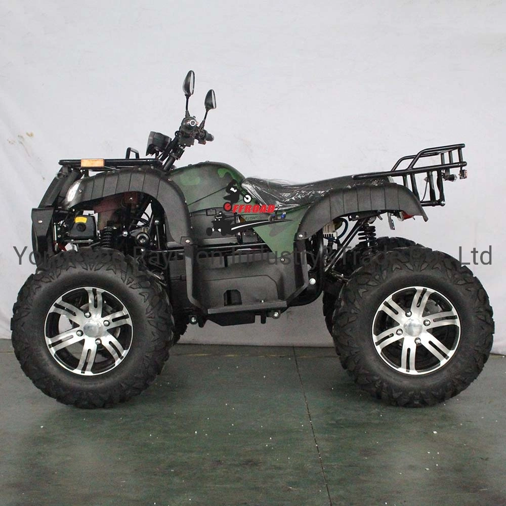 Wholesale/Supplier ATV Quad Bike Electric 4X4 3000W Shaft Drive for Kids