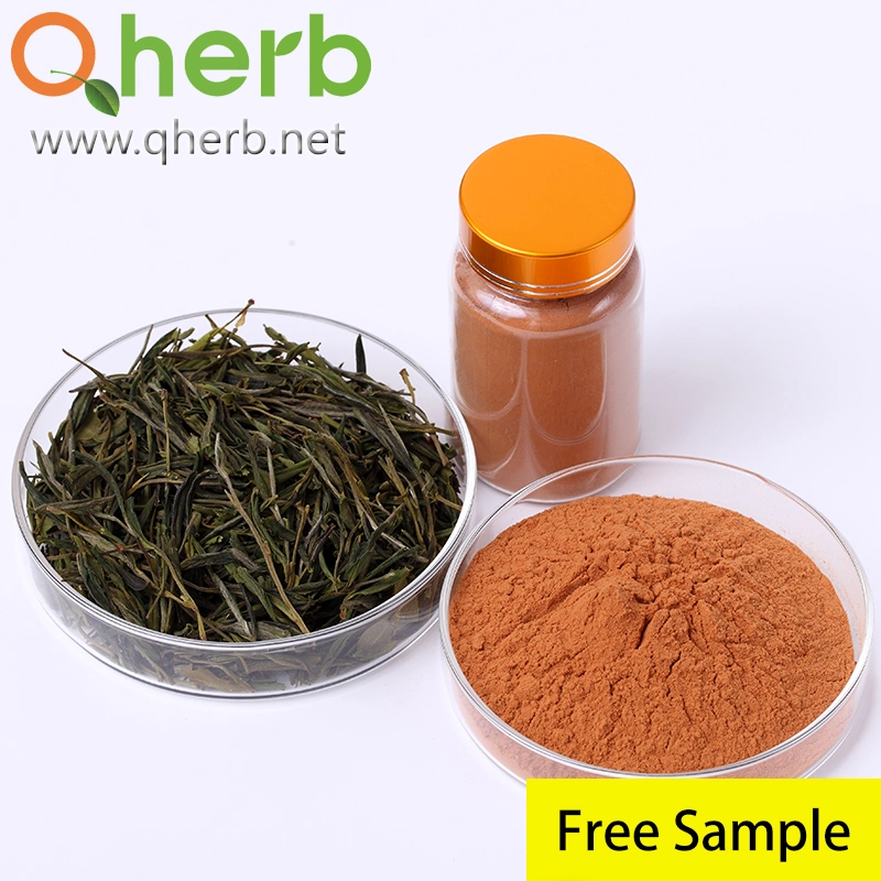 40% EGCG 98% Tea Polyphenols UV with Free Sample