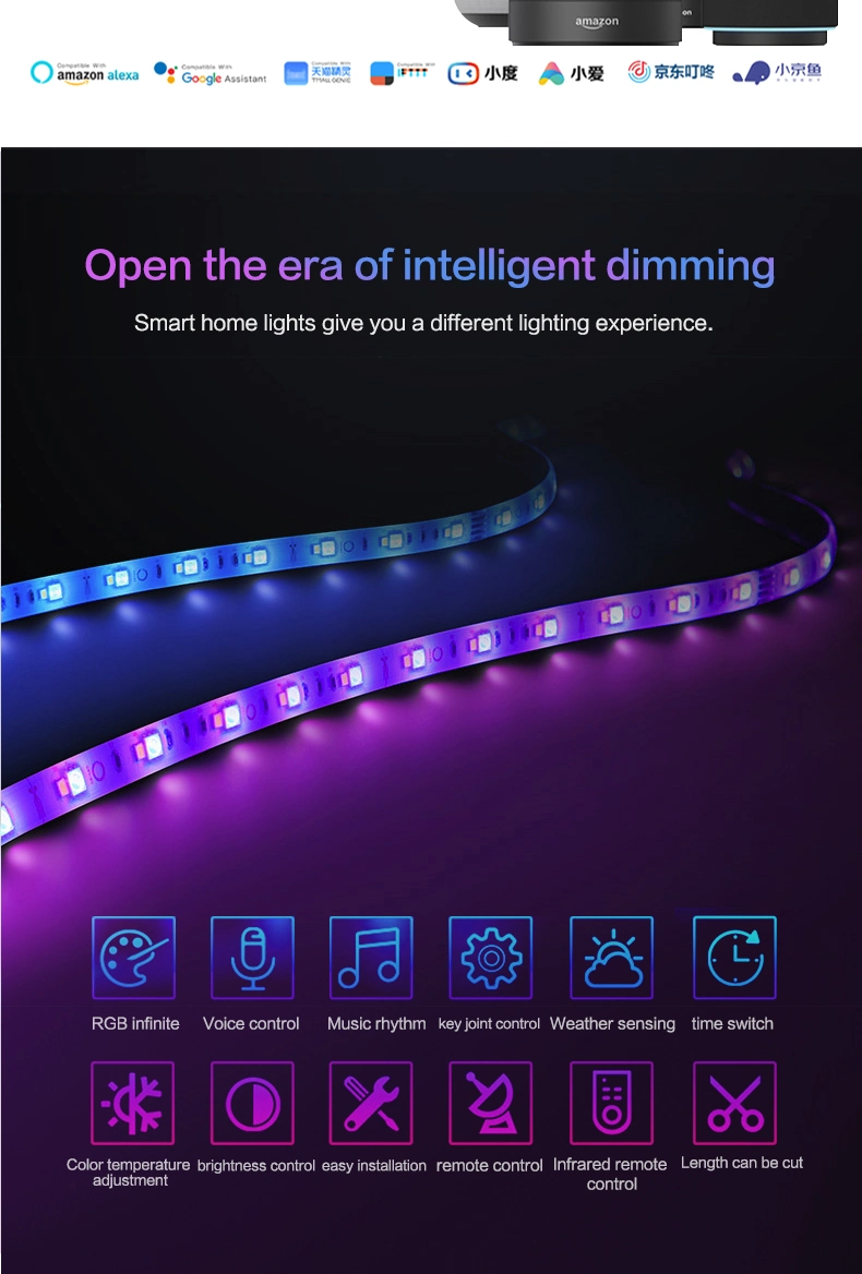 5050 RGB LED Strip Lights Bluetooth Smart Timing LED Rope Light Strips