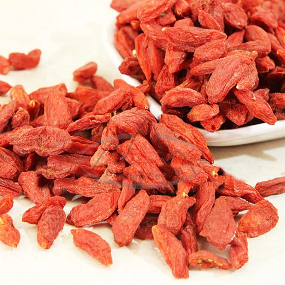 Горячие продажи Ningxia Bulk Goji Берри Оптовая Red Goji Берри