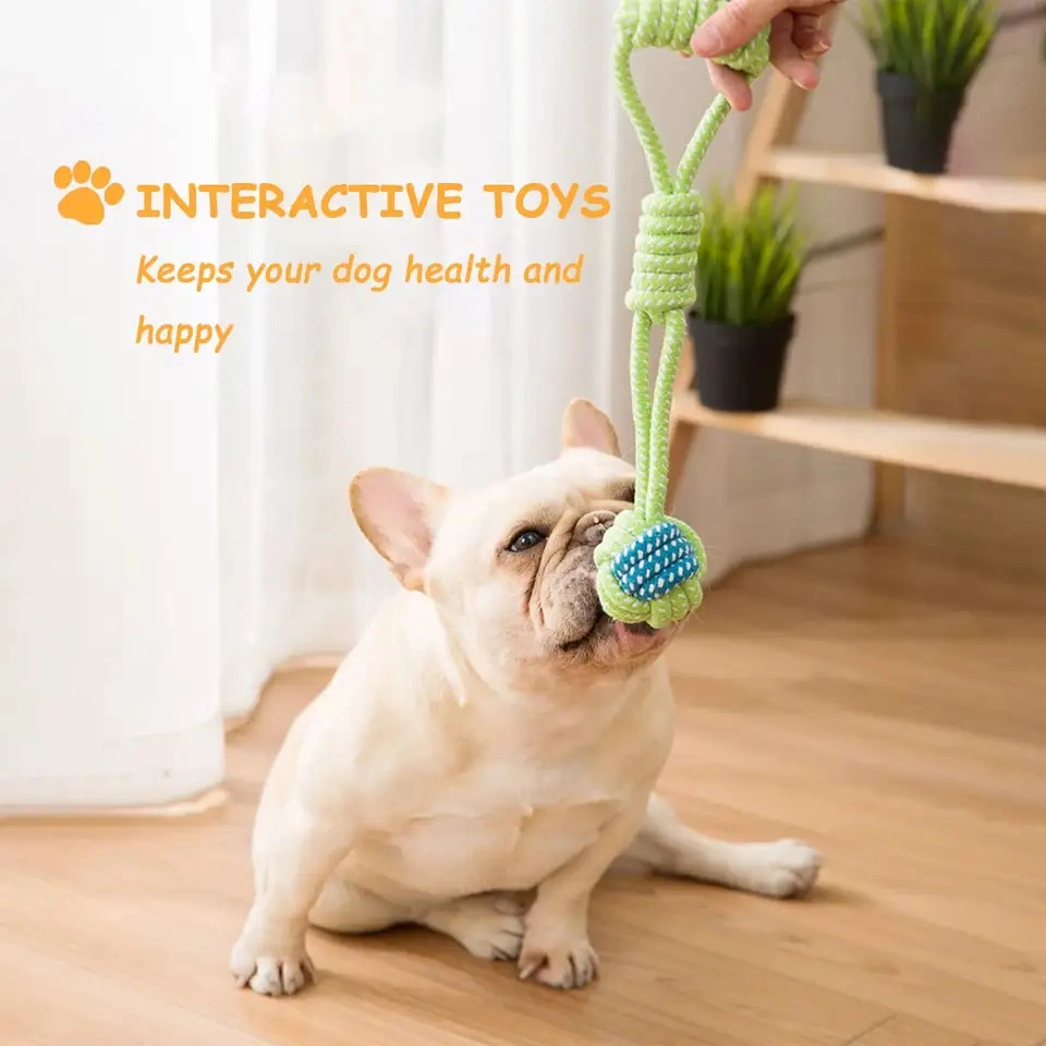 Juego de regalo de 12 juguetes interactivos de perro de cuerda de algodón duradero Surtido gratuito Pet Chew Perros de juguete