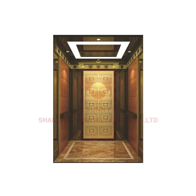 High Quality Residential Elevator 800kg Capacity Elevator Lift Passenger