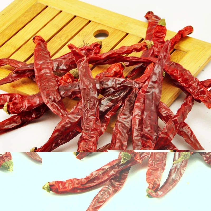 China New Crop Super Hot Red Dry Natural Chili