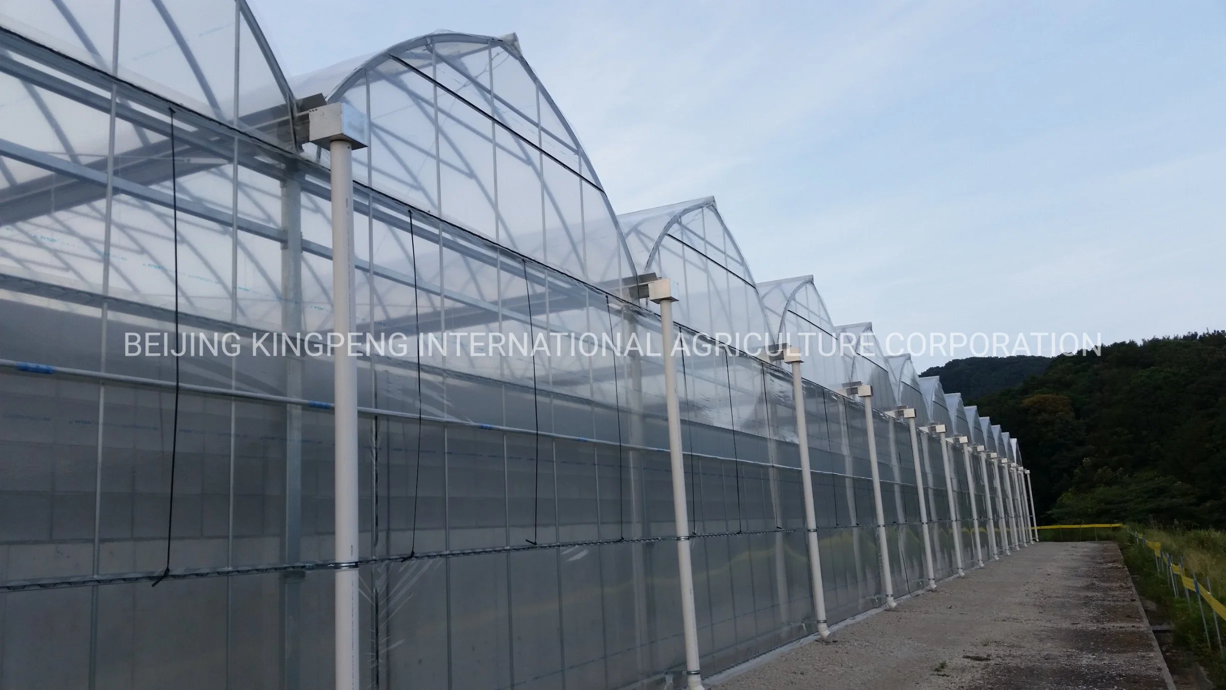 Multi-Span PE Tunnel Film House for Flower Pots