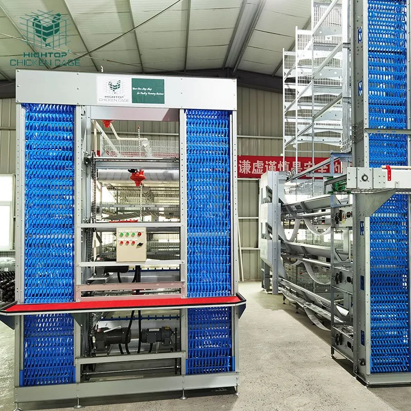 H Type Closed Poultry Farming House Complete Automatic Battery Chicken Cage System for Egg Layers