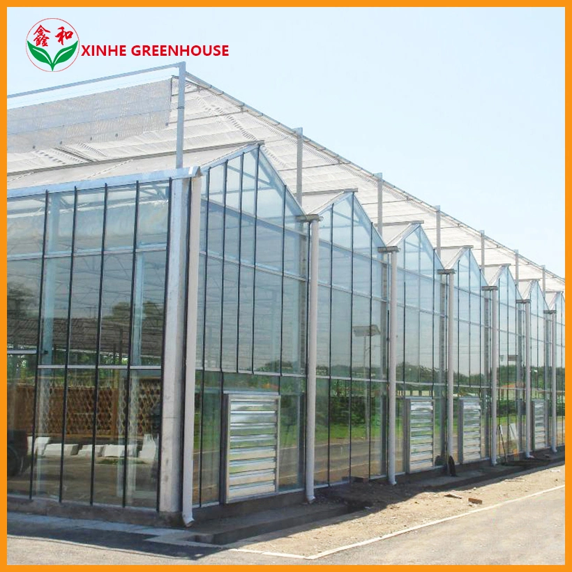 Hot Sale Type Glass Greenhouse for Vegetable and Flowers Growing