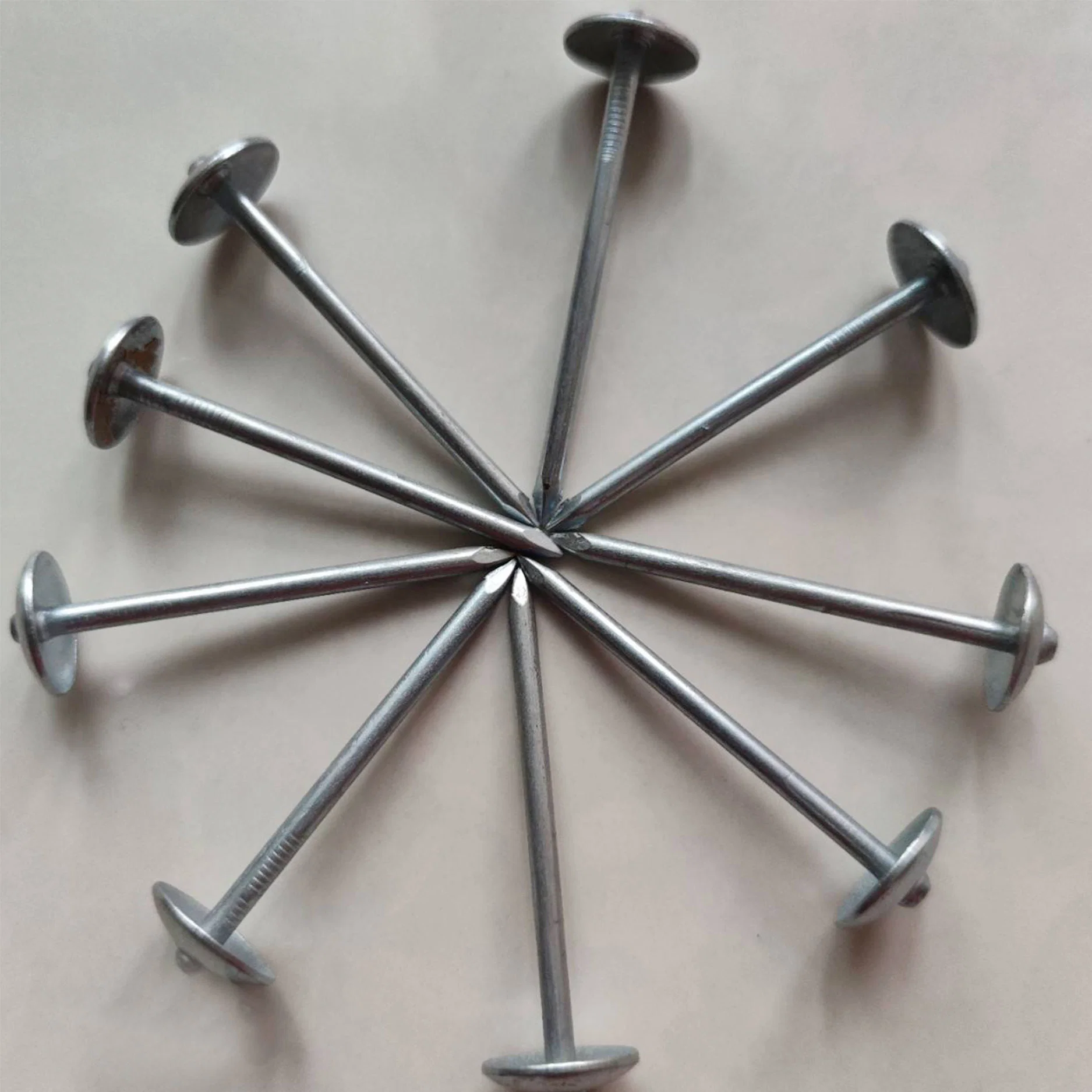 Building Materials Electro Galvanized Umbrella Head Roofing Nails From China