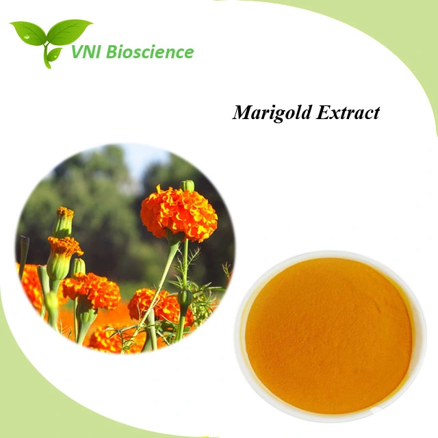 Certificado kosher Extracto Natural de Flores de Marigold 100%