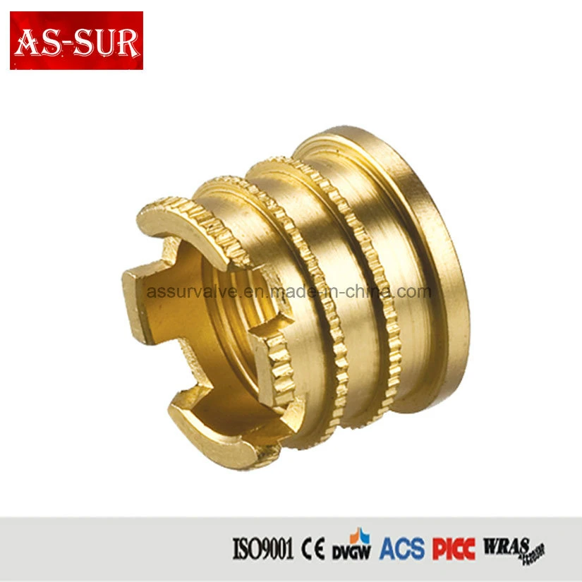 Brass Insert PPR Pipe Fittings Socket