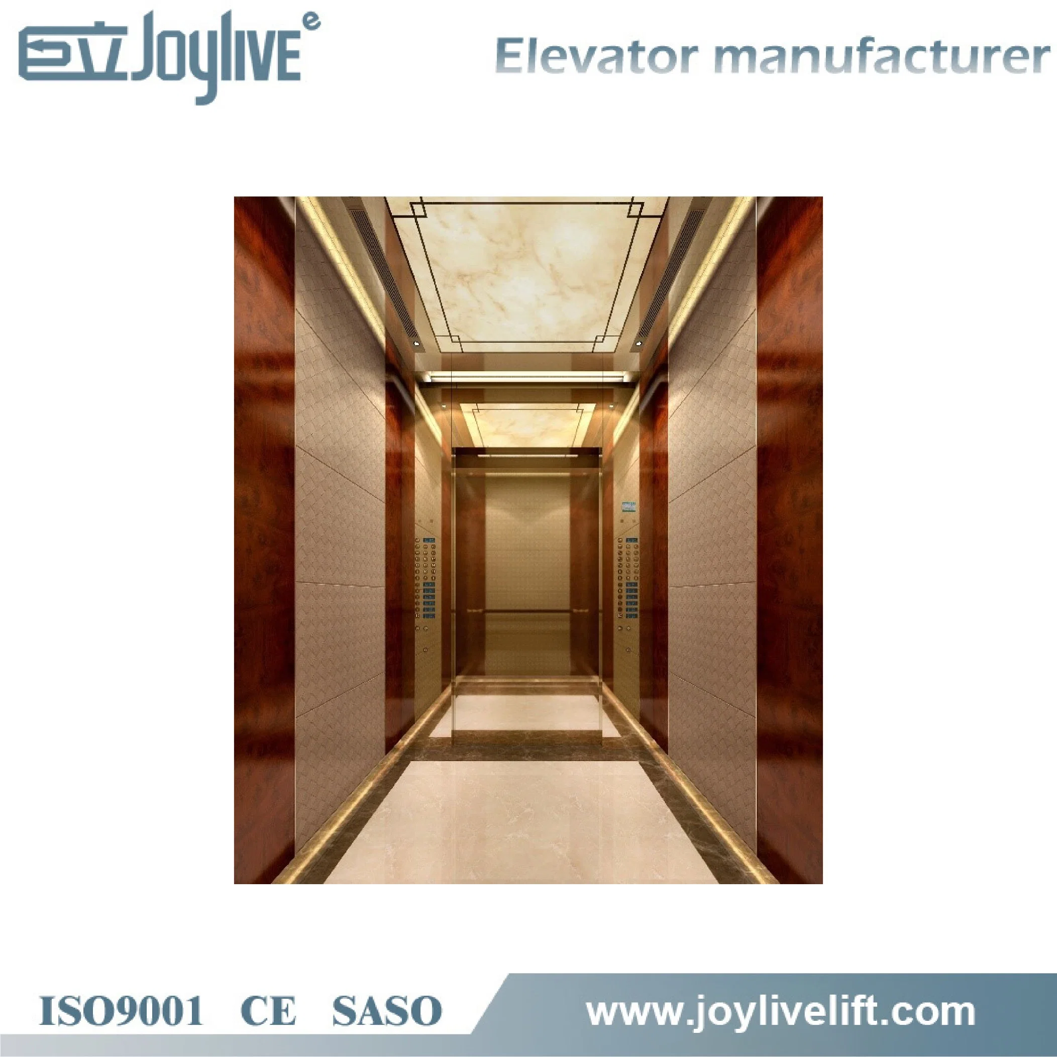 Rml Load 1000 Kg General Customized Passenger Residential Elevator Lift with Cheap Price