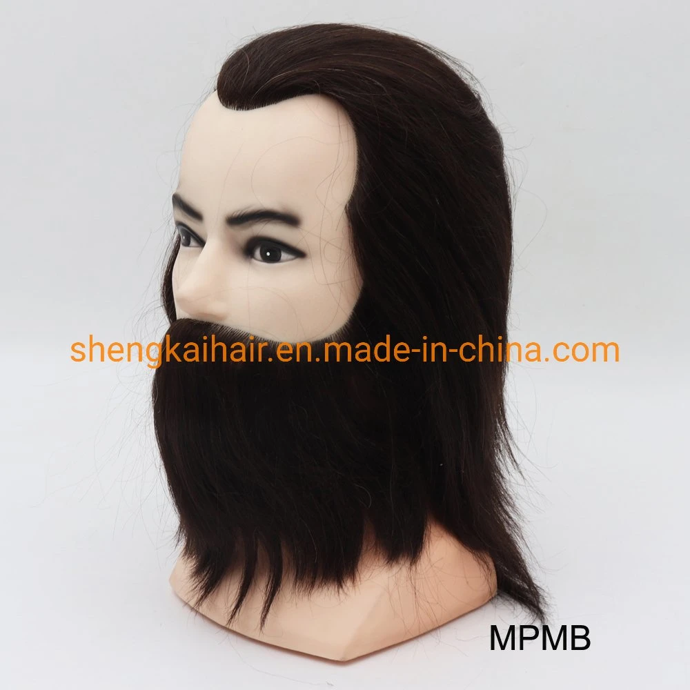 Wholesale/Supplier European Style Male Human Hair Training Mannequin Head