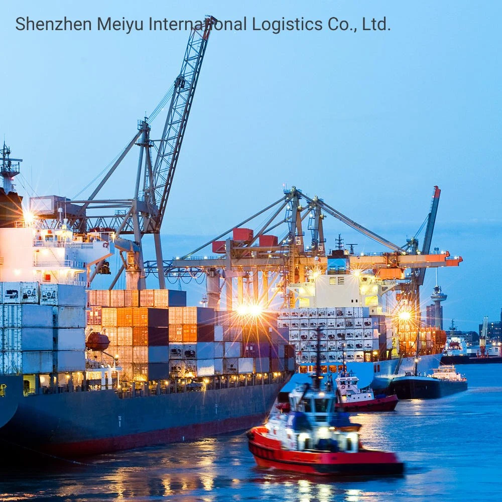 Reliable Consolidate Cargo Sea DDP Shipping Company in Shenzhen China Shipping to USA