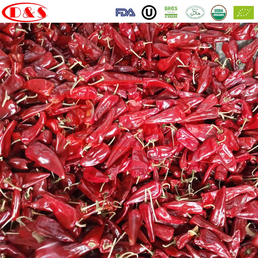 Manufacturer New Crop Hot Chili Pods Dehydrated Beijing Red Chili Dried Yidu Chili Guajillo