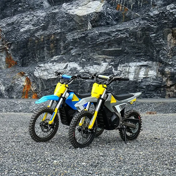 Foxboy zwei Rad Off Road Hochleistungs Dirt Bike für Kinder