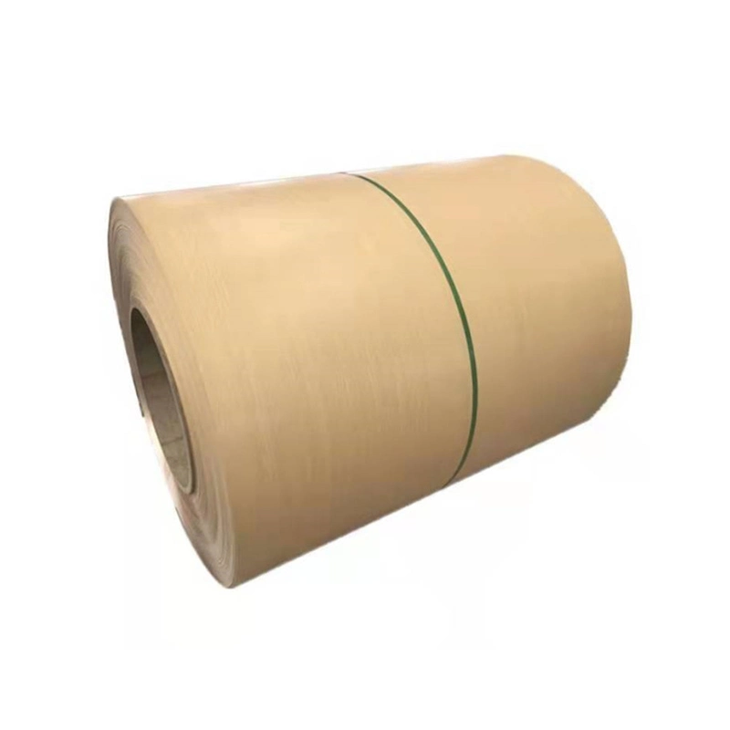 La norme ASTM JIS GO AISI GI GL PPGL PPGI Gi Secc CGCC Dx51 G550 51d+Z galvanisé prélaqué laminés à froid à chaud du grain du bois en acier revêtu de couleur des bobines