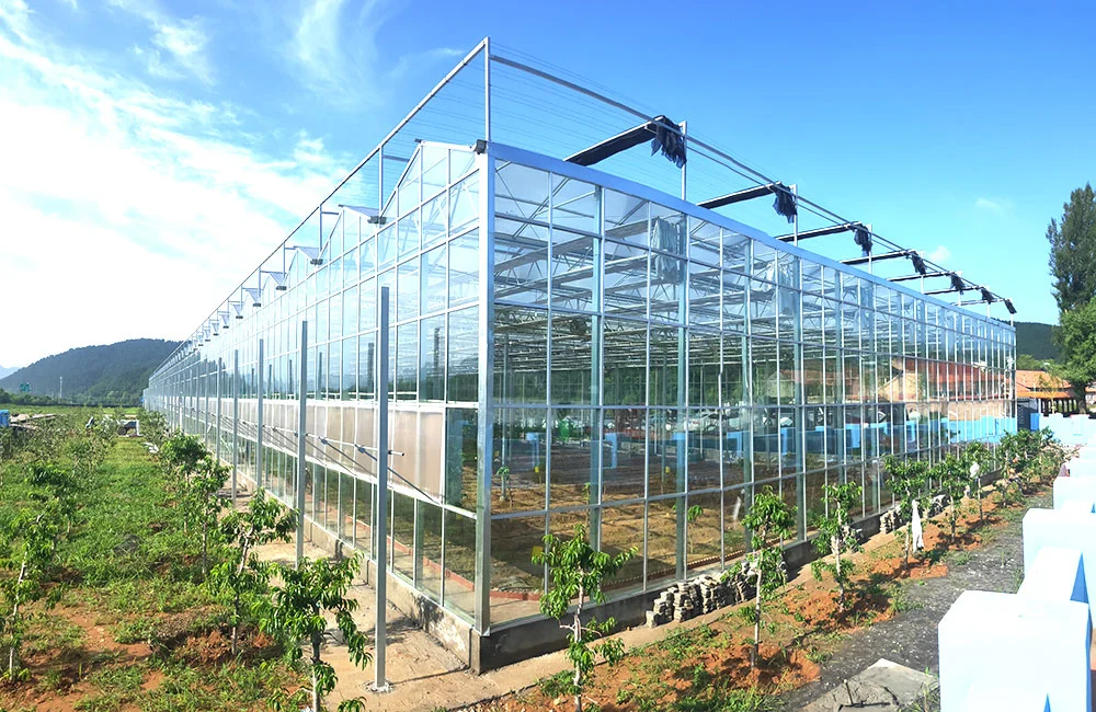 Po Film serre en verre pour la ferme le jardin de l'élevage et la reproduction avec la culture hydroponique/l'irrigation de la chaudière du ventilateur système