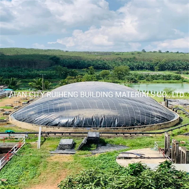 Catfish/Crab/Prawns Pond PE Lining HDPE Geomembrane for Mining/Chemical Plant/Oil Tank/Tunnel Lining in Philippines/Indonesia/Brunei/Thailand