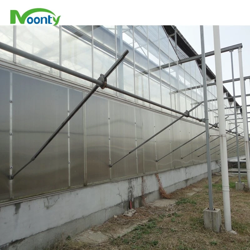 Greenhouse Roof Ventilation with 200 Micron Plastic Film Covering