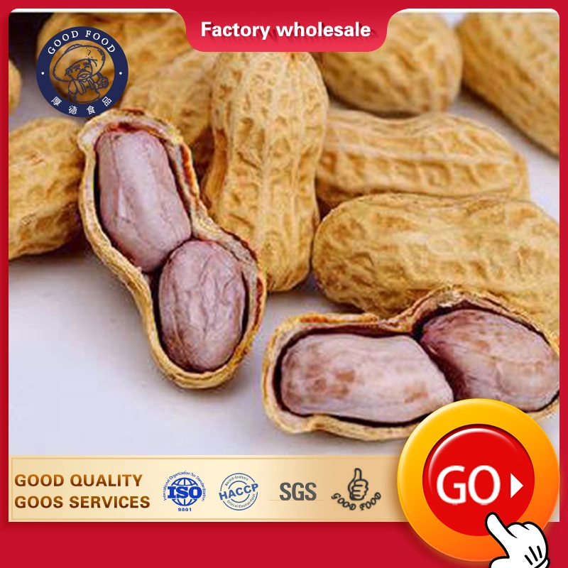 Natural Chinese Original Flavor Salted Taste Roasted Peanuts in Shell