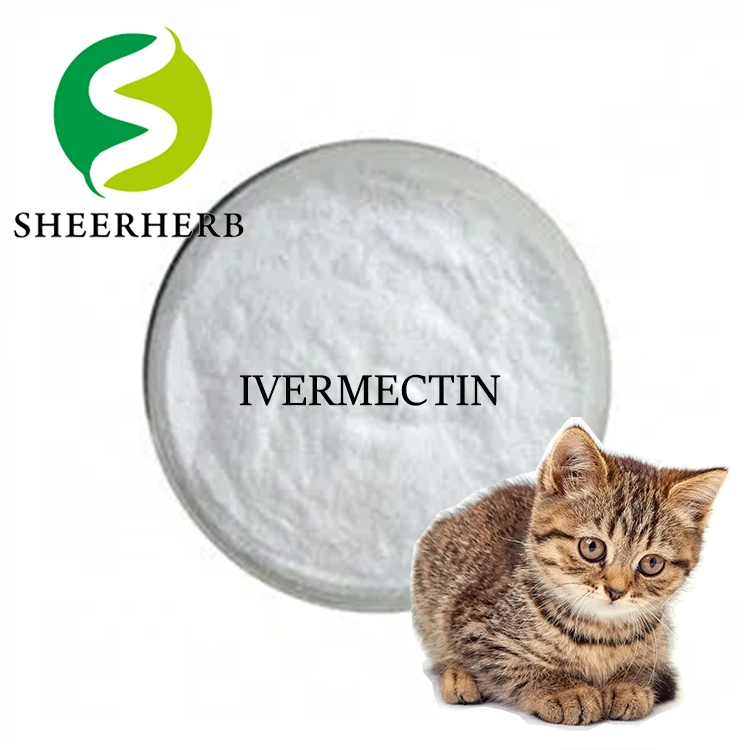 Factory Supply GMP Grade Ivermectin Powder 99% CAS 70288-86-7 Ivermectin Raw Chemicals Fast Shipping