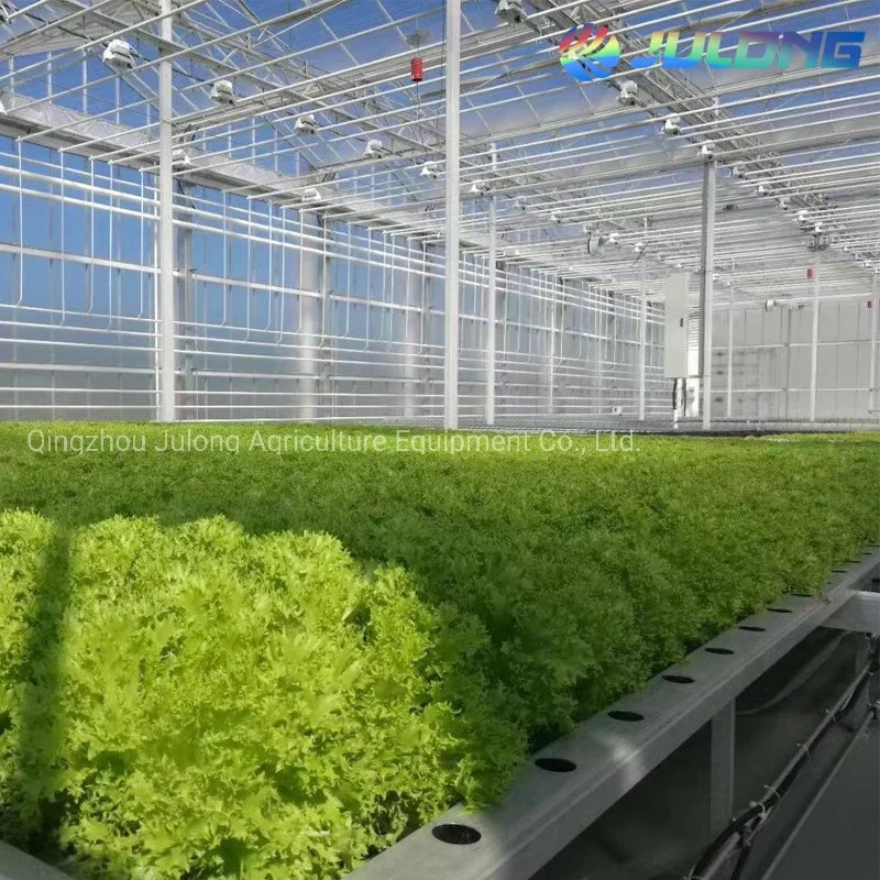 Venlo Style Glass Agricultural Greenhouse with Automatic Control System