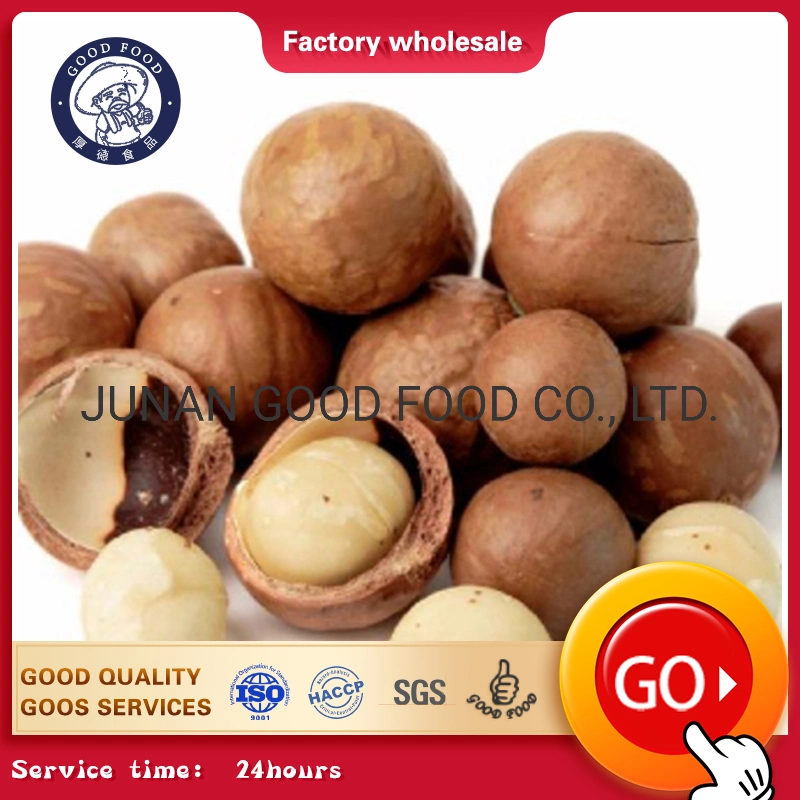 Raw Organic Chinese Macadamia Nuts with Shell and Without Shell Wholesale Macadamia Nuts Raw