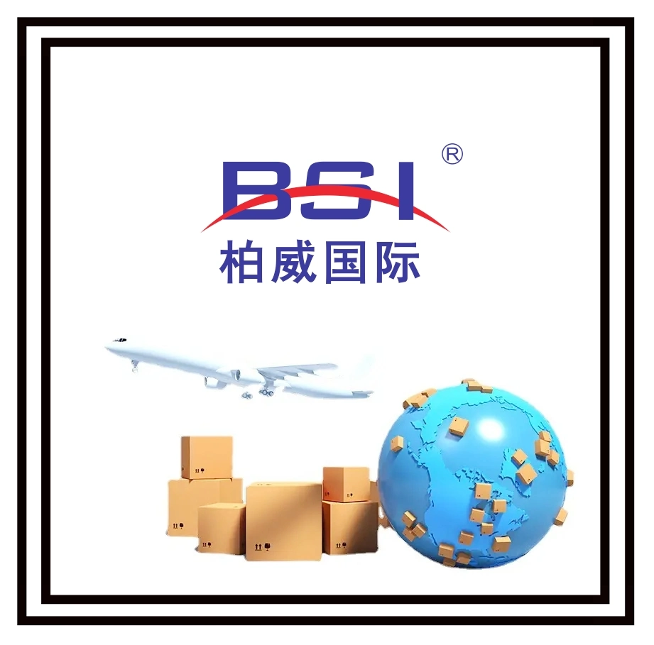 Top Logistics Cargo Transportation Services From China by Air to Paris, France