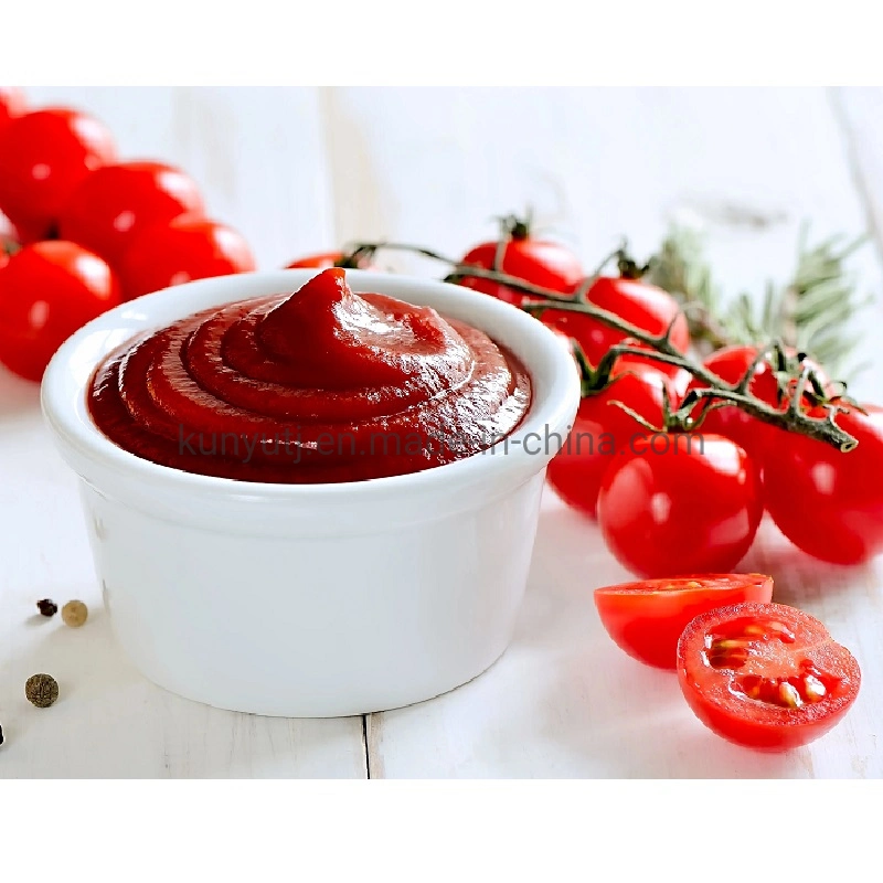 Hot Sale ISO Certified 28-30% 220L Tomato Paste Tomato Sauce