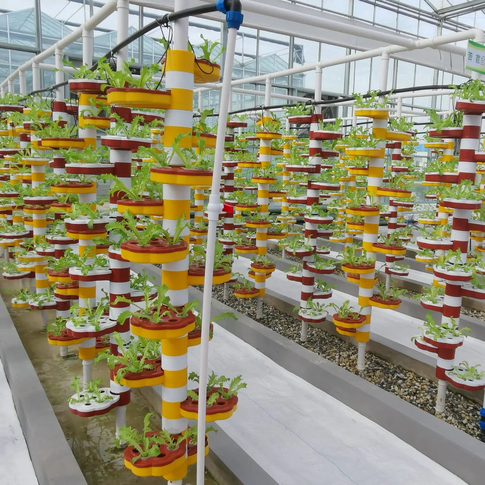 Greenhouse Soilless Cultivation Hydroponics System with Substrate for Vertical Planting for Strawberry/Leafy Vegetables