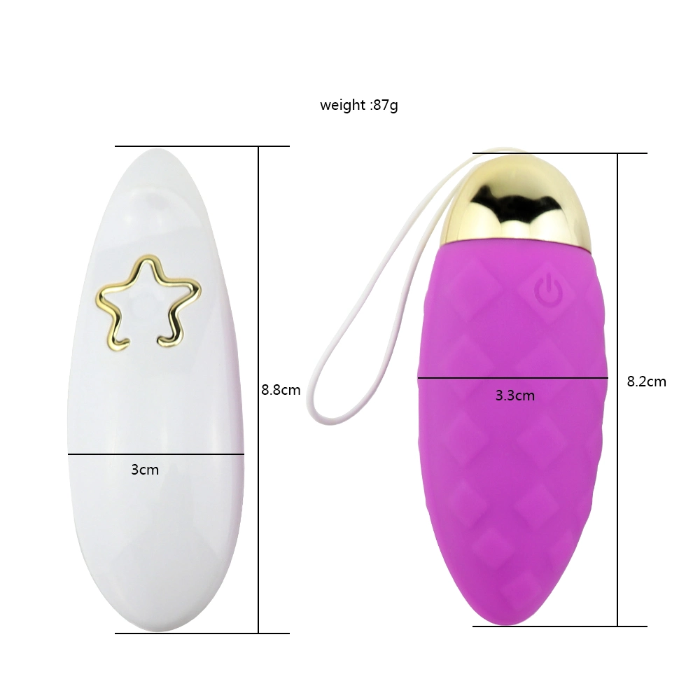 Remote Control Sex Toys Vagina Vibrator Mini Bullet Vibrating Egg Et-Sle-014