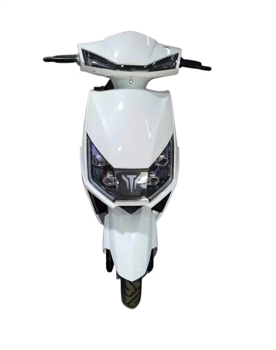 Doble rueda de aluminio ampliado motocicleta eléctrica Quitar la batería Seguridad Luz trasera 800W Nuevo diseño de scooter eléctrico de motor mini