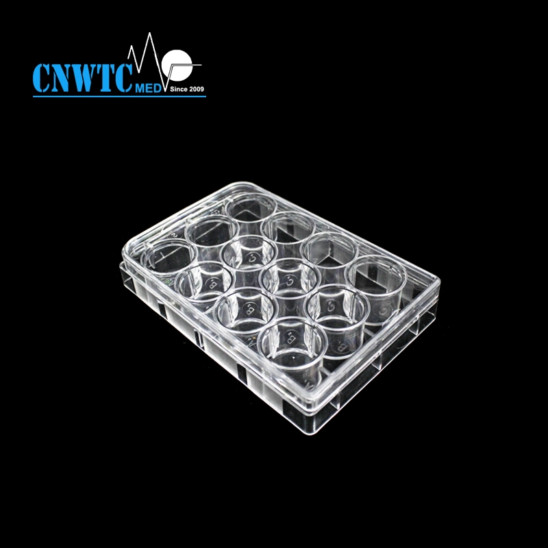 24well Laboratory Plastic Sterile PCR Reaction Cell Tissue Culture Plate