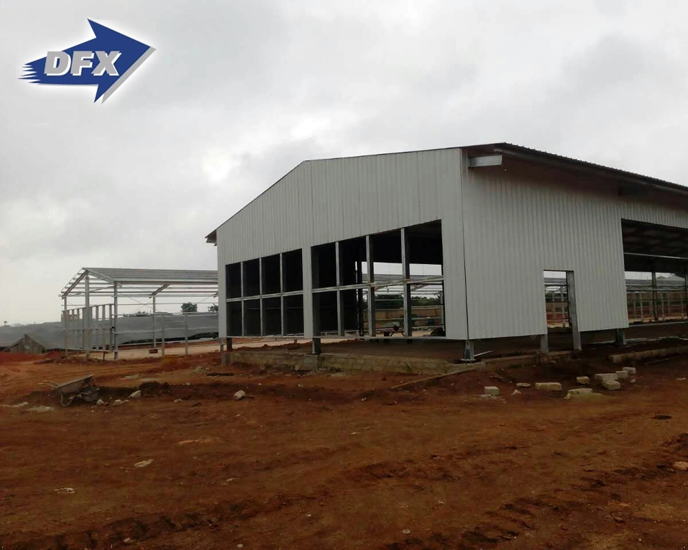 China Steel Structure Poultry Farming Design Layer Chicken Shed Feeding House