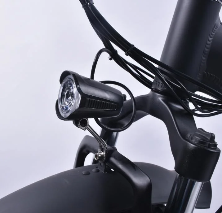 Meilleurs Fat Pneu 20 pouces E-Bike électrique avec la CE