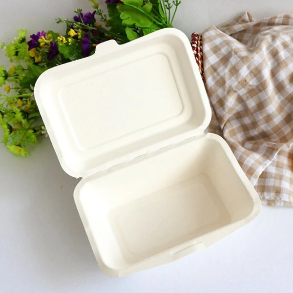 Einweg Biologisch Abbaubare Zuckerrohr Bagasse Zellstoff Papier Lebensmittel Verpackung Container Box