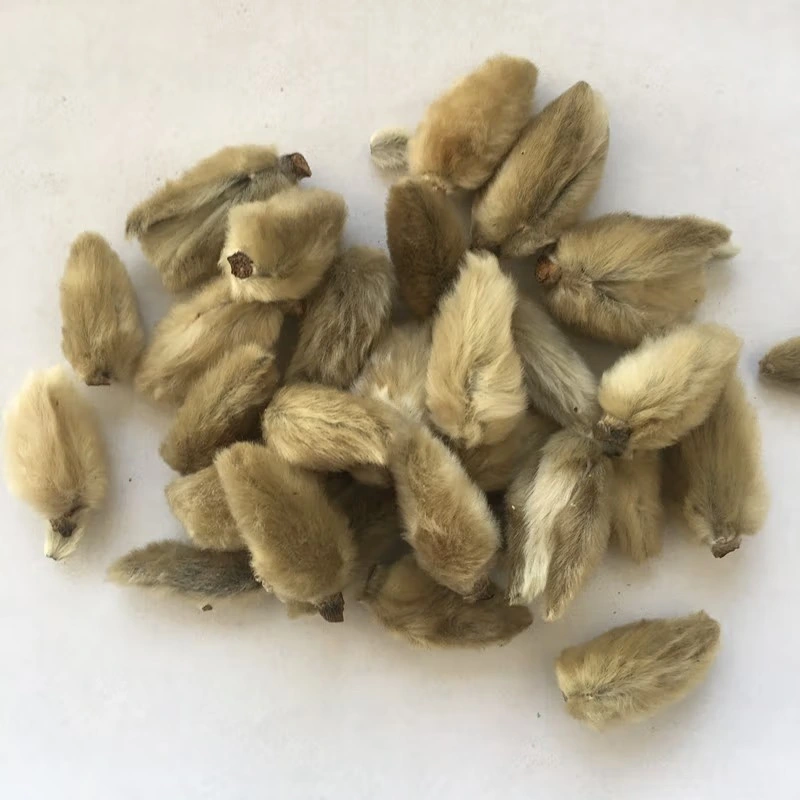 Magnoliae Liliflorae High quality/High cost performance Dried Flower Buds Magnolia Flos Herbal Flower Tea