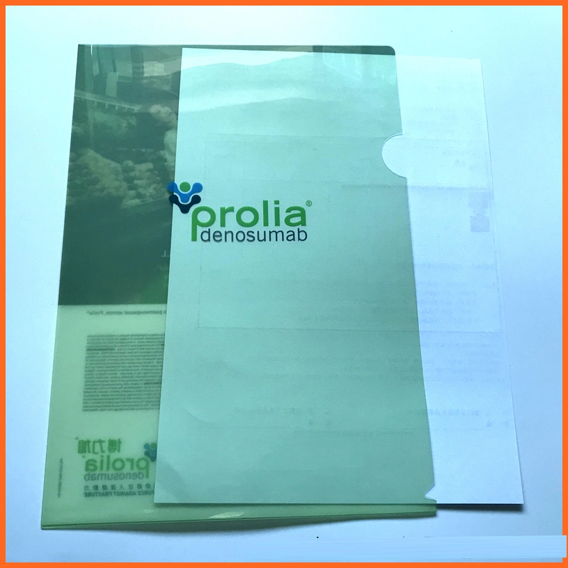 Wholesale/Supplier Customized Coler L Shape A4 PP Folder