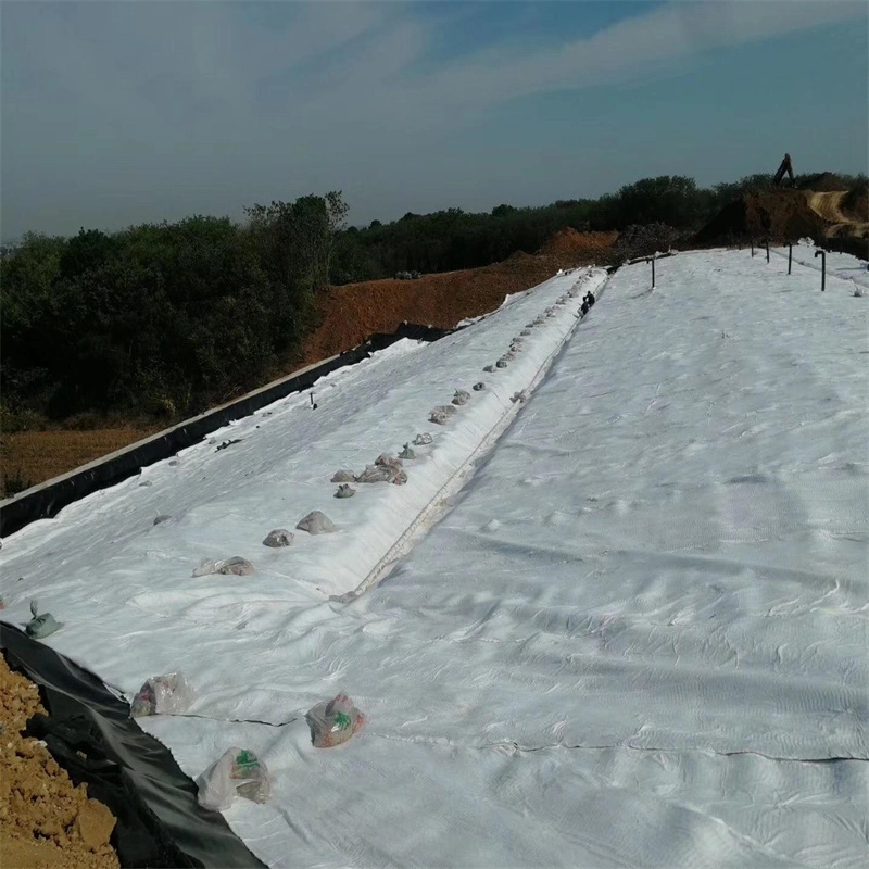 White Polyester Polypropylene Knitted Filtration Dam Liner China Earthwork Products Polyester Pet PP Membrane Blanket Cheap Geotextile Filter Fabric Price