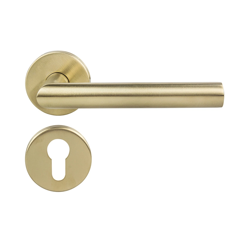 Brass Gold Finish Panel Door Handle (CS004)