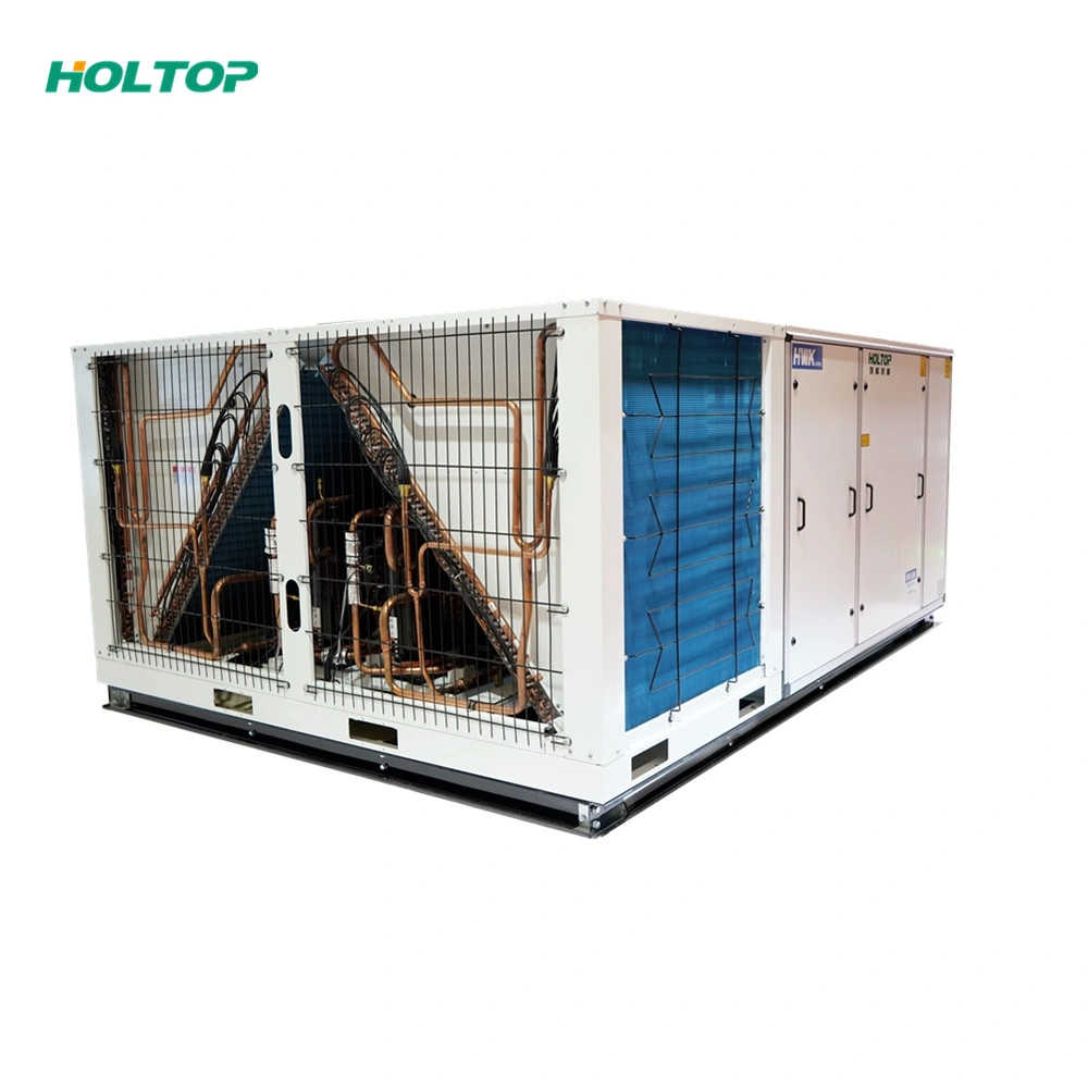 Holtop Rooftop Ceiling Type Ahu Heating Cooling Ventilation Packaged Air Conditioning