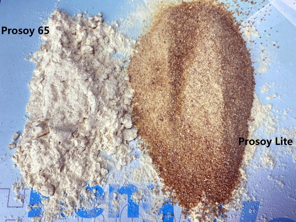 Prosoy 65 (Soy Protein Concentrate)