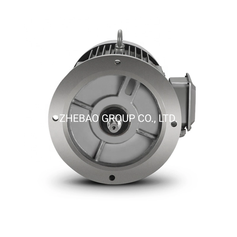 AC Induction Electric Motor IEC European Standard