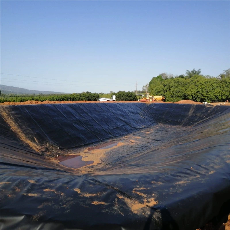 Pond polythene 60 MIL Poly Liner Tippos De Geomembranas