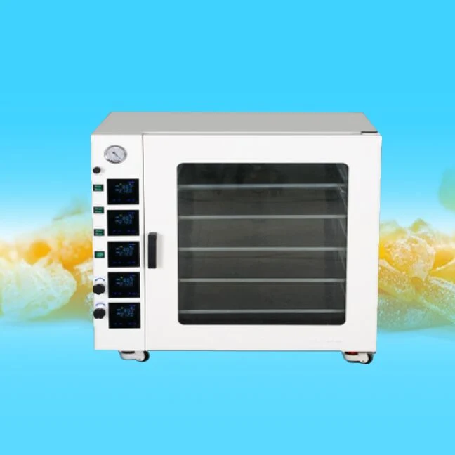 10L Vacuum Drying Oven Fruit Vacuum Dryer Oven Machine Price