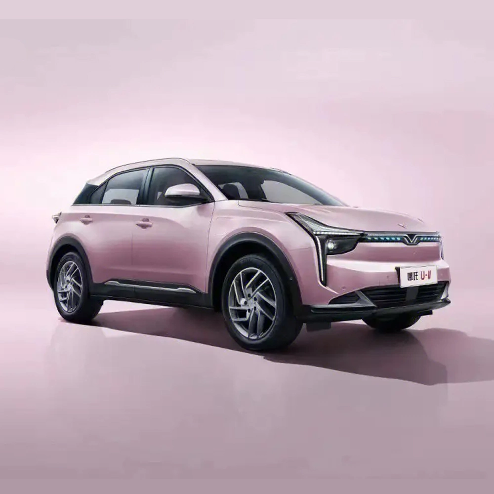 2023 Venta caliente coche eléctrico Neta U Nezha U 500 Lite potencia del motor eléctrico puro SUV vehículos nuevos de energía para adultos